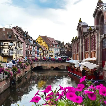 Clicochic Au Clair Ruisseau *