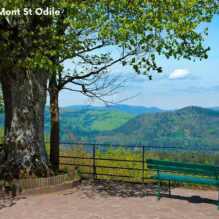 Clicochic Au Clair Ruisseau * Gerstheim