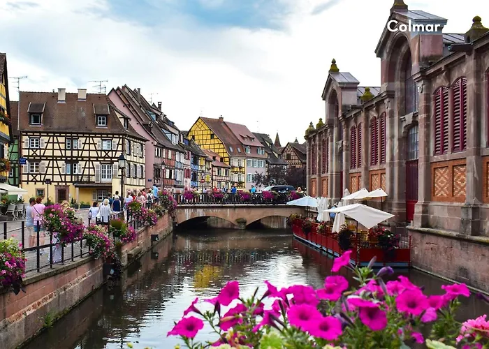 Clicochic Au Clair Ruisseau *