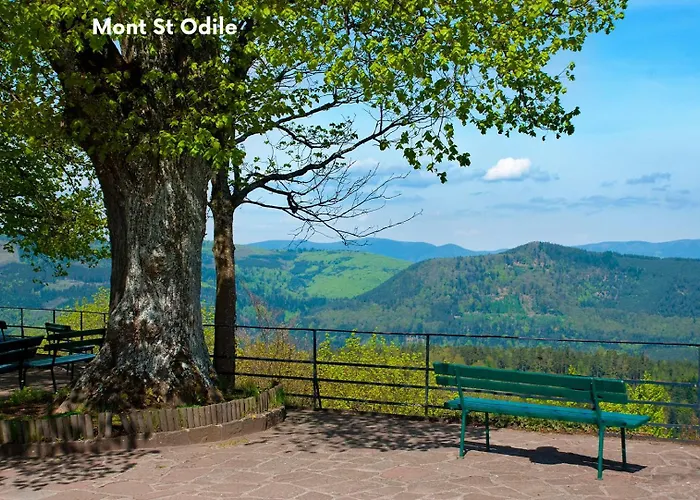 Clicochic Au Clair Ruisseau * Gerstheim